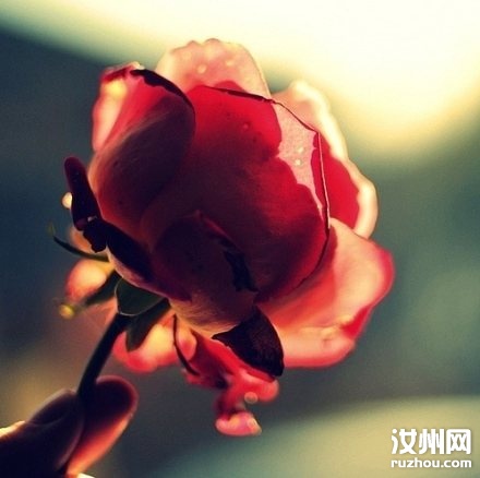20110512093214_5042.jpg